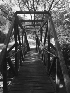 this bridge
