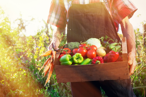 istock-539246873.jpg